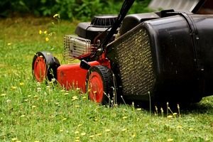 gas push mowers