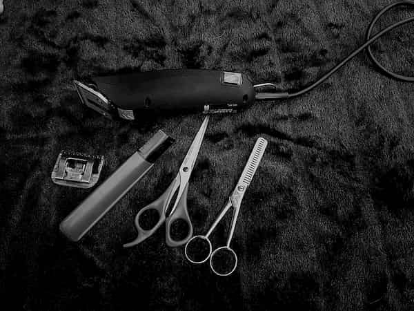 clipper with scissors