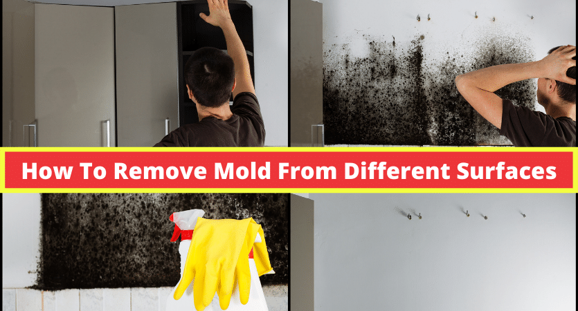 How To Remove Mold From Different Surfaces