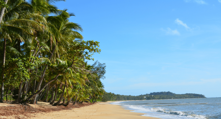 How To Travel In Cairns